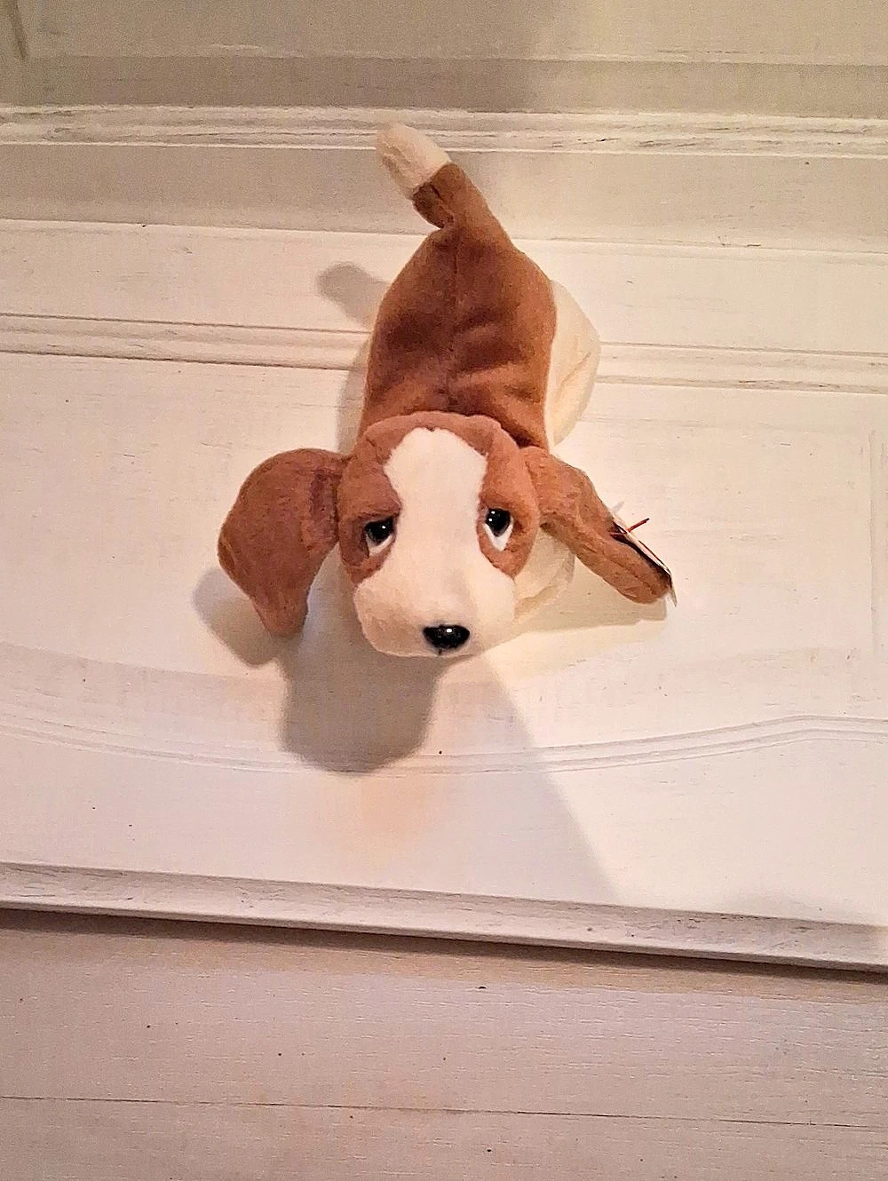 Ty Tracker Brown & White Plush NWT